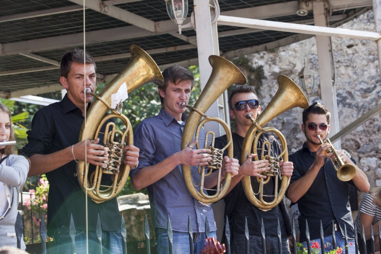 JU Srednja muzička škola Zenica