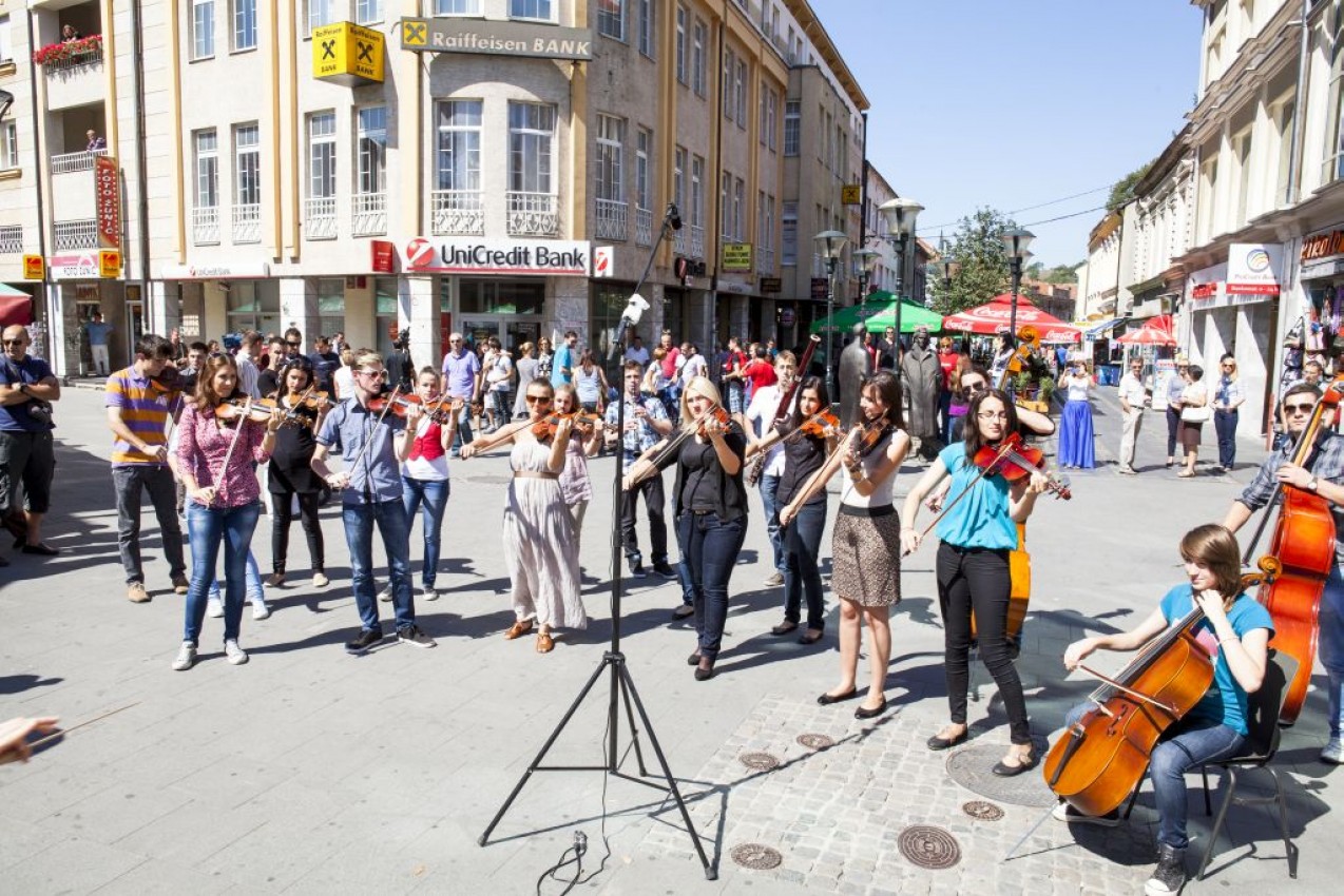 JU Srednja muzička škola Zenica